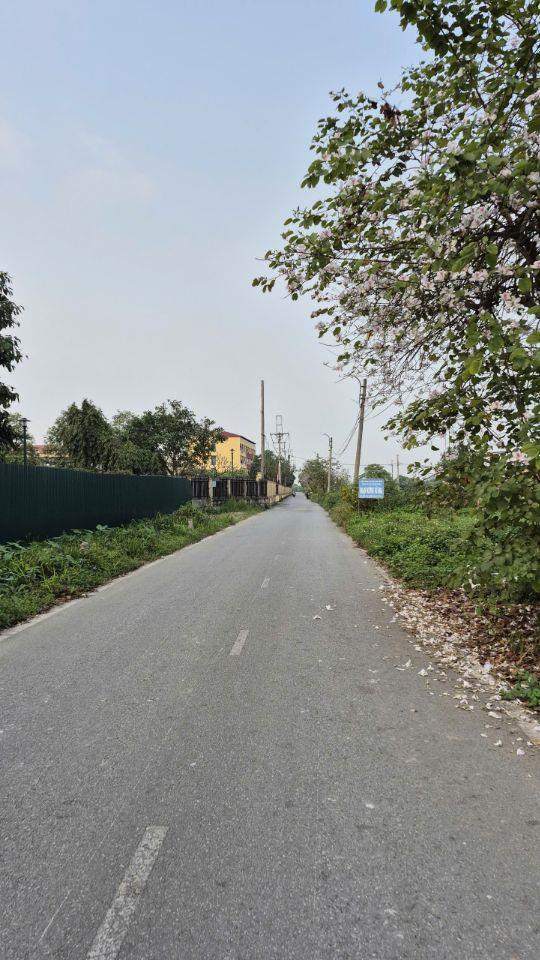 BÁN 126M2 MT 9M ĐẤT THUẬN AN GIÁP ĐƯỜNG 5M THÔNG HV TÒA ÁN, CHỈ 50 TRIỆU/M2