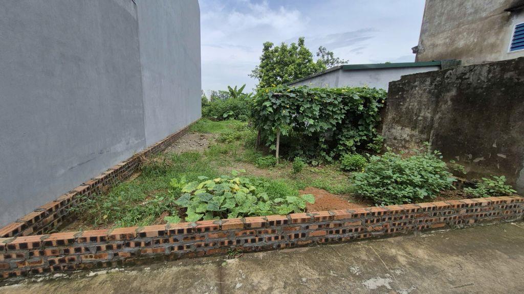 BÁN 90M2 ĐẤT MT 5M XUÂN LÂM, ĐƯỜNG Ô TÔ THÔNG, VIEW HỒ, CHỈ 3.x TỶ 