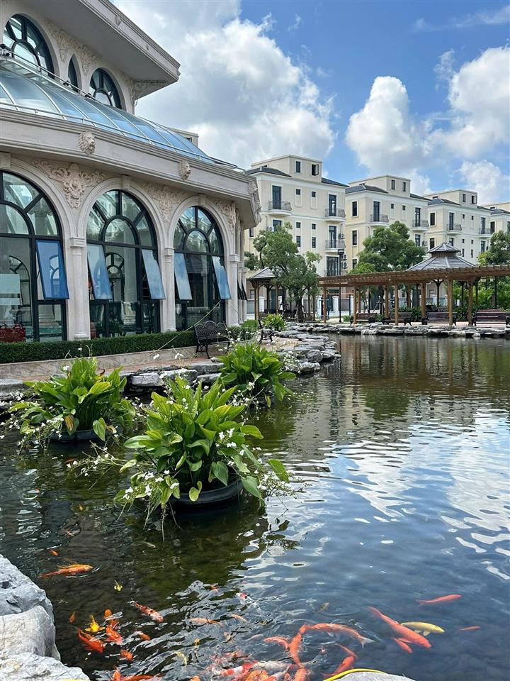 Chỉ 10,6 tỷ sở hữu đảo dừa 91m2, nhận nhà ở ngay, phân khu khép kín an ninh tại ocean park 2!