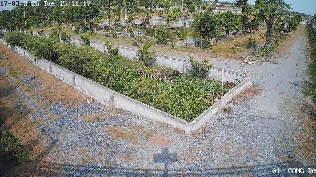 Bán Nhà Vườn 12.000m2, Giá 29.5 Tỷ, Kênh 12, Lê Minh Xuân Bình Chánh