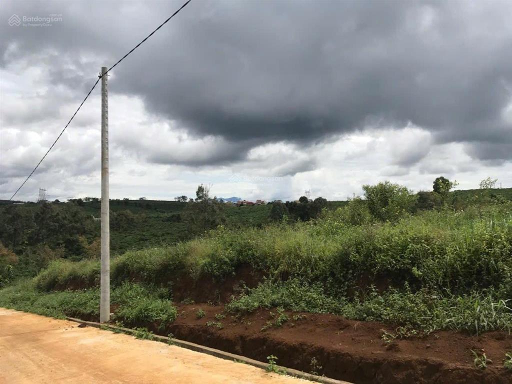 Bán đất đường ngô quyền, di linh, 1,2 tỷ, 231,5 m2, pháp lý đầy đủ