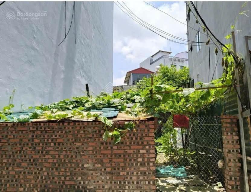 Bán đất kim nỗ đông anh ô tô ngõ thông 86m chỉ 5,8 tỷ