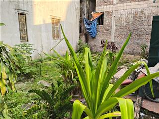 Bán đất phú thượng tây hồ 35m² chỉ hơn 5 tỷ cách ô tô tránh 40m chủ nợ ngân hàng phải bán gấp