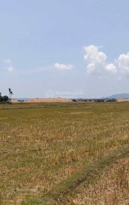 Bán nhanh trong tháng 8/2026 đất kèm nhà cấp 4 hơn 232m2 đất thuộc phước thuận, tuy phước cũ