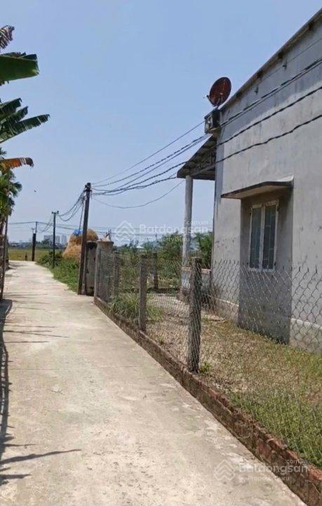 Bán nhanh trong tháng 8/2026 đất kèm nhà cấp 4 hơn 232m2 đất thuộc phước thuận, tuy phước cũ