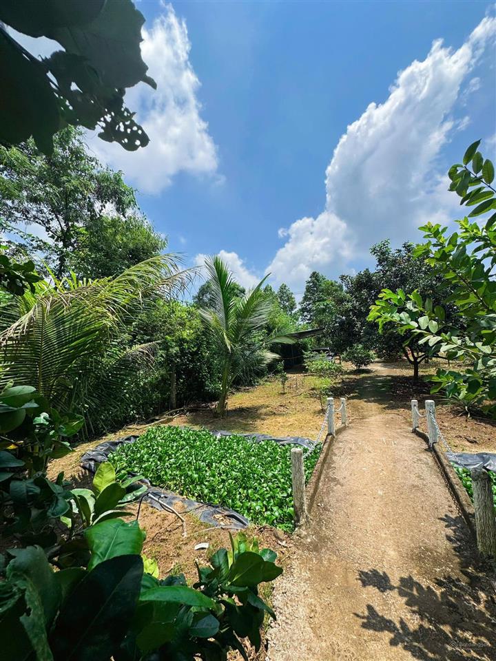 Bán trang trại, khu nghỉ dưỡng tại hàng gòn, giá cực chất 5 tỷ, 3000 m2 hot!