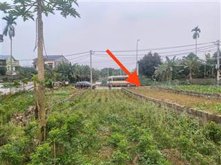 Anh trai em làm ăn kinh doanh đầu năm thua lỗ nhờ em đăng bán 200m2 bám trục chính đường liên xã