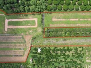 Chính chủ bán trang trại, khu nghỉ dưỡng tại tân khánh trung, lấp vò, đồng tháp, 12018 m2