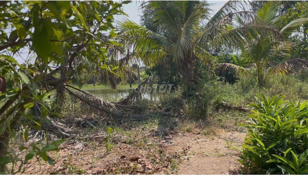 Bán rẻ lô đất vườn, sẵn nhà và nông trại 3 ha, Hồng Thái giá 3,6 tỉ.