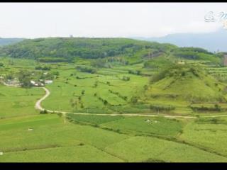 Hàng hiếm tại quốc lộ 1a, 1,2 triệu/m2, 820m2, đất thổ cư