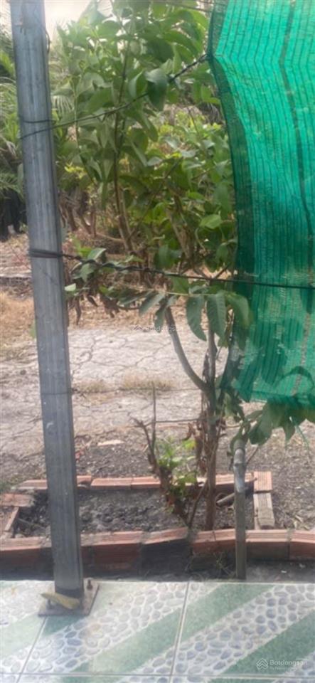 Cần cho thuê nhà vườn 180m có sân rộng có vườn sau 4pn, 4wc cho thuê bhanh giâ rẻ 3tr/th  ngay