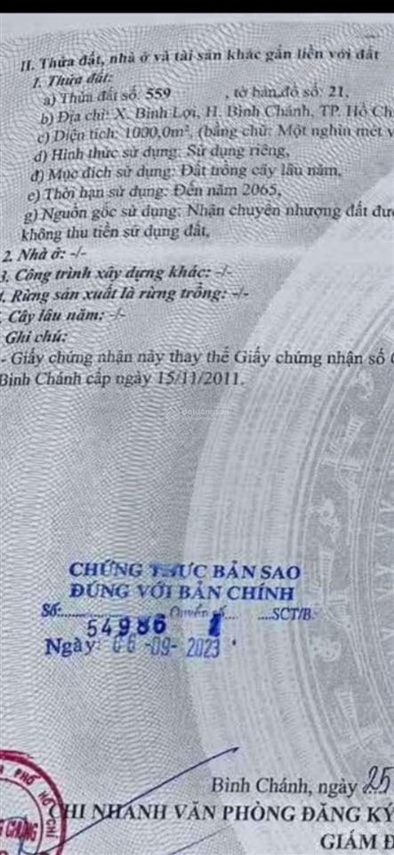 Kẹt bán gấp đất sổ riêng 1000m2 đường xe tải đất thuộc xã bình lợi bình chánh tphcm rẻ 2.8 tỉ 