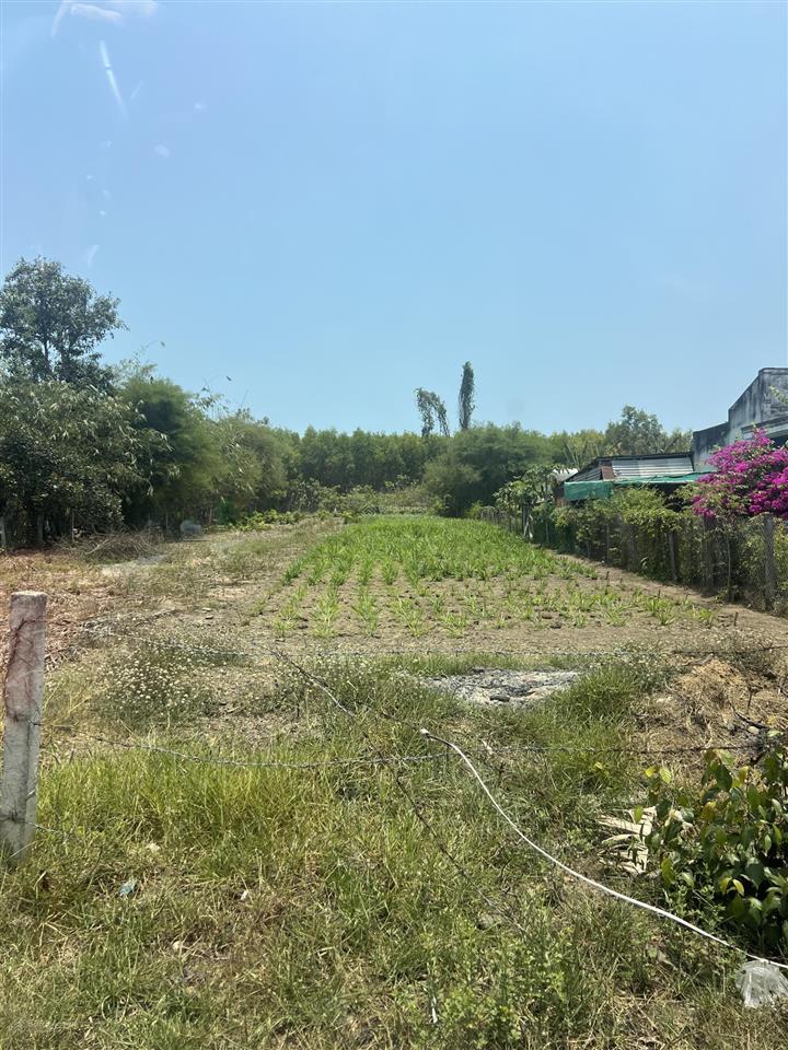 Bán đất 2869m2. đất nở hậu l. có 100m2 thổ cư xã phước thuận, xuyên mộc, vt. giá 7,5 tỷ