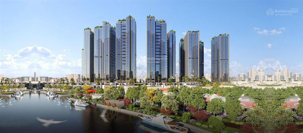 Làm thị trường sunshine 4 năm, nắm giỏ hàng giá sát nhất với giá thị trường