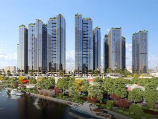 Làm thị trường sunshine 4 năm, nắm giỏ hàng giá sát nhất với giá thị trường
