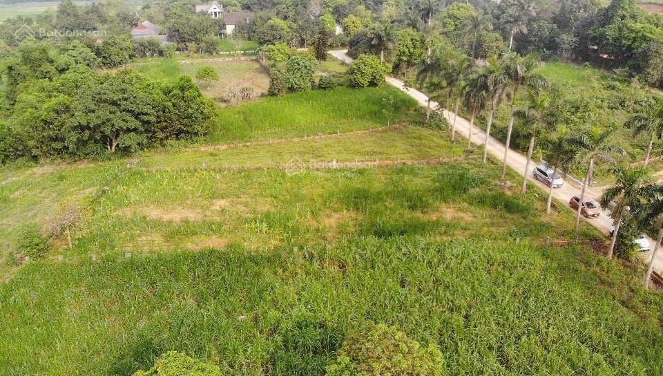 Bán đất tại xã yên bài, 8,5 tỷ, 1451 m2, mặt tiền 25m, pháp lý đầy đủ
