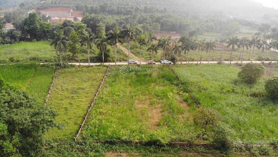 Bán đất tại xã yên bài, 8,5 tỷ, 1451 m2, mặt tiền 25m, pháp lý đầy đủ