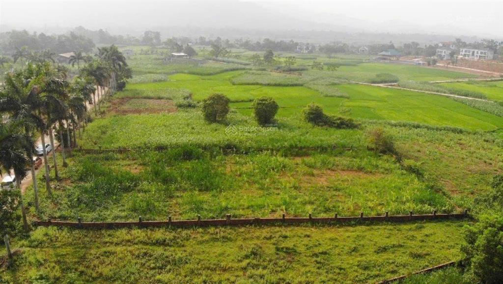 Bán đất tại xã yên bài, 8,5 tỷ, 1451 m2, mặt tiền 25m, pháp lý đầy đủ