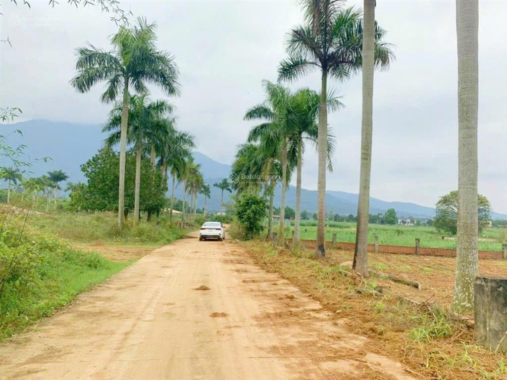 Bán đất tại xã yên bài, 8,5 tỷ, 1451 m2, mặt tiền 25m, pháp lý đầy đủ