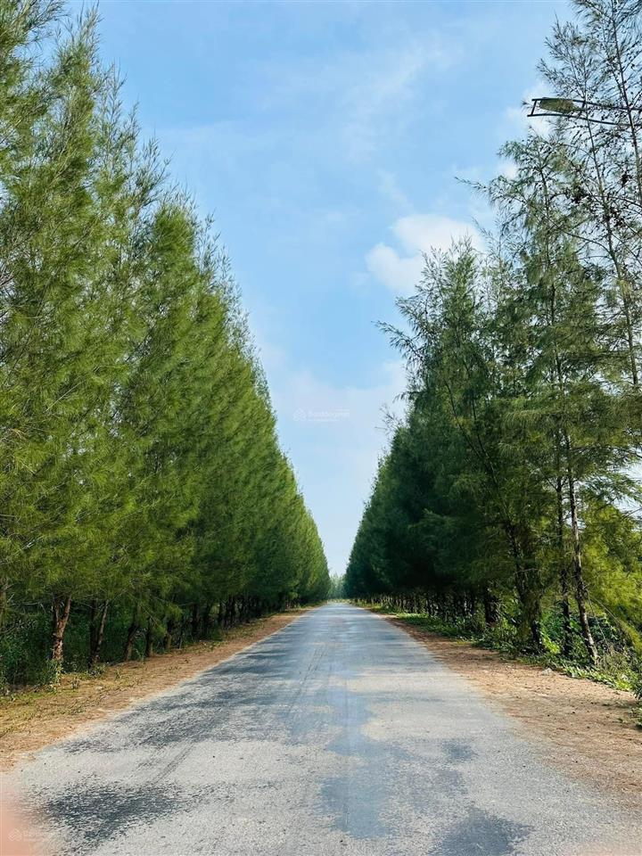 Bán mảnh đất vàng  hàm cá mập sơn hào trươc mặt là bãi tắm sơn hào tuyệt đẹp