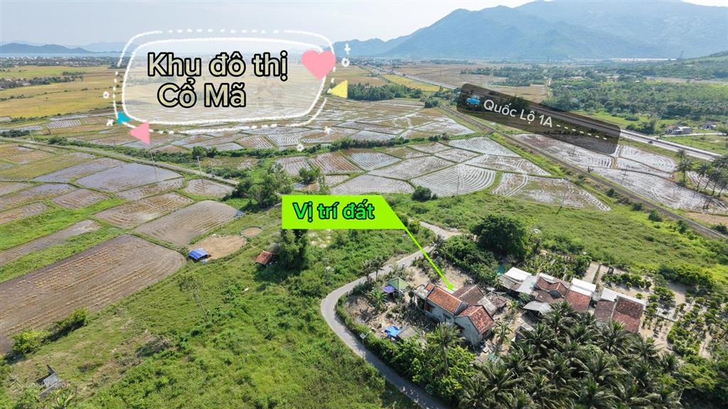 Đất thổ pk8 gần suối nước nóng sát kđt cổ mã | hơn 500m giá đầu tư