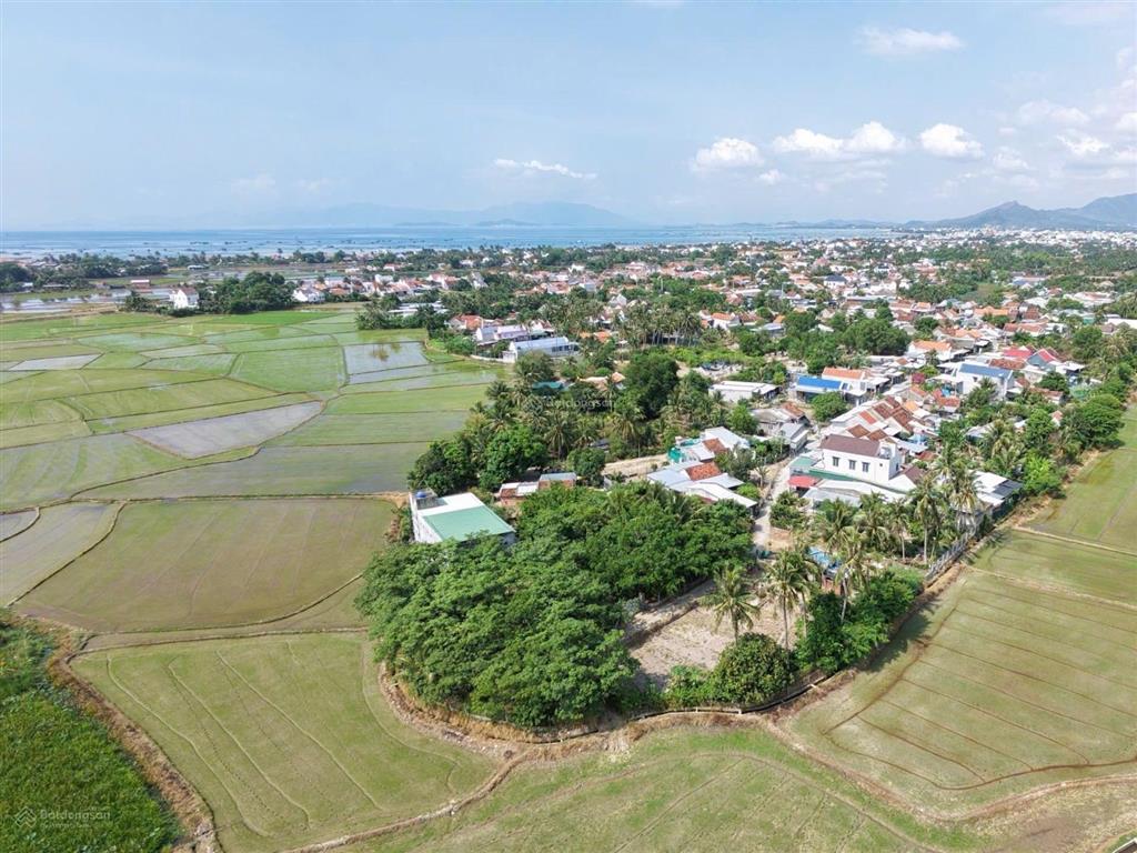 Nhà yến đang khai thác, quỹ đất gần 2.000m2 chỉ hơn 4 triệu/m2 tại vạn thắng
