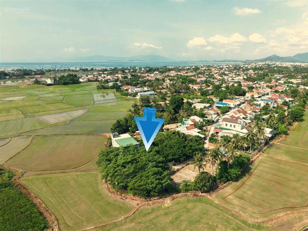 Nhà yến đang khai thác, quỹ đất gần 2.000m2 chỉ hơn 4 triệu/m2 tại vạn thắng