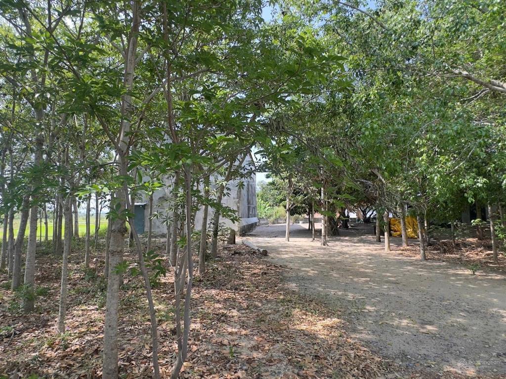 Nhà yến đang khai thác, quỹ đất gần 2.000m2 chỉ hơn 4 triệu/m2 tại vạn thắng