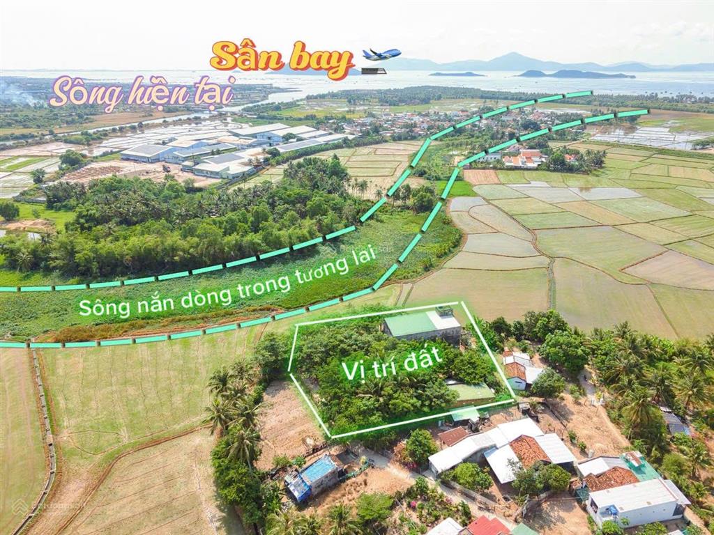 Nhà yến đang khai thác, quỹ đất gần 2.000m2 chỉ hơn 4 triệu/m2 tại vạn thắng