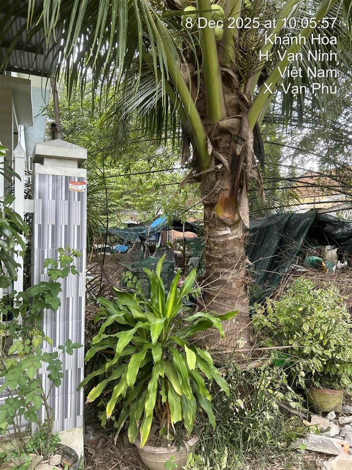 Bán đất có nhà 208,2m²  thôn phú cảng 2 nam, vạn phú, vạn ninh