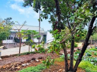 Cần bán căn nhà vườn tại hoà thạch quốc oai hà nội diện tích 386m/120m đất ở