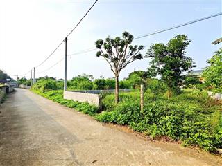 Cần bán 502m/120m đất ở tại thăng đầu hoà thạch quốc oai hà nội