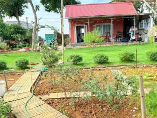 Cần bán căn nhà vườn diện tích 786m có 142m thổ cư sẵn khuôn viên tại hoà thạch quốc oai hà nội