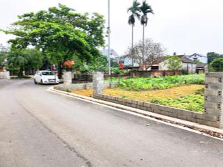 Chính chủ cần bán lô đất 206m mặt đường trục chính thôn 2 xe tránh tại hoà trúc hoà thạch quốc oai