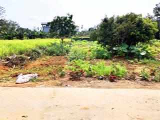 Cần bán ngay lô đất 341m/100m thổ cư tại hoà thạch quốc oai hà nội làm nhà vườn hoặc đầu tư anh chị