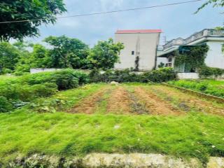 Bán đất tại xã hòa thạch, quốc oai hà nội diện tích 233m2, mặt tiền 60m
