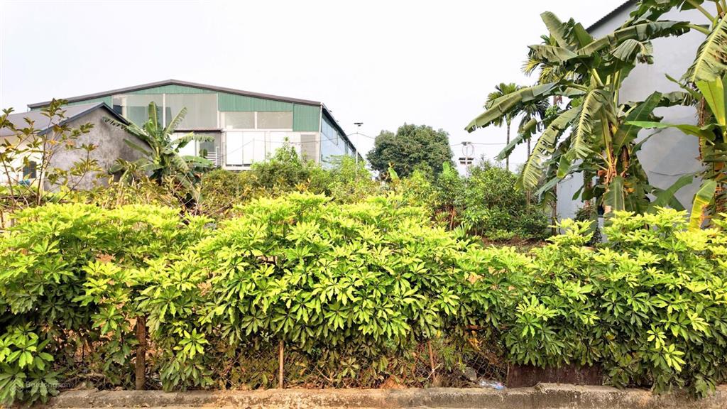 Chính chủ cần bán lô đất đẹp hoà trúc, hoà thạch dt 134m (100m thổ cư) mt 6.8m vuông