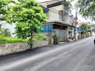 219m full thổ cư trục chính đồng vàng, phú mãn. (phú cát, tp hà nội)