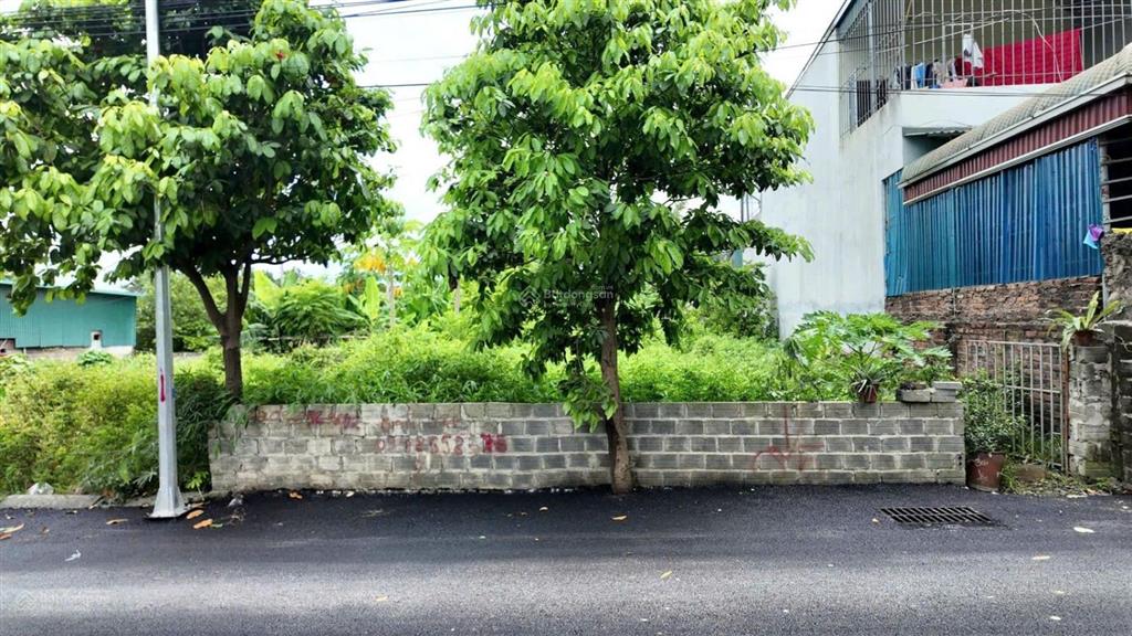 219m full thổ cư trục chính đồng vàng, phú mãn. (phú cát, tp hà nội)