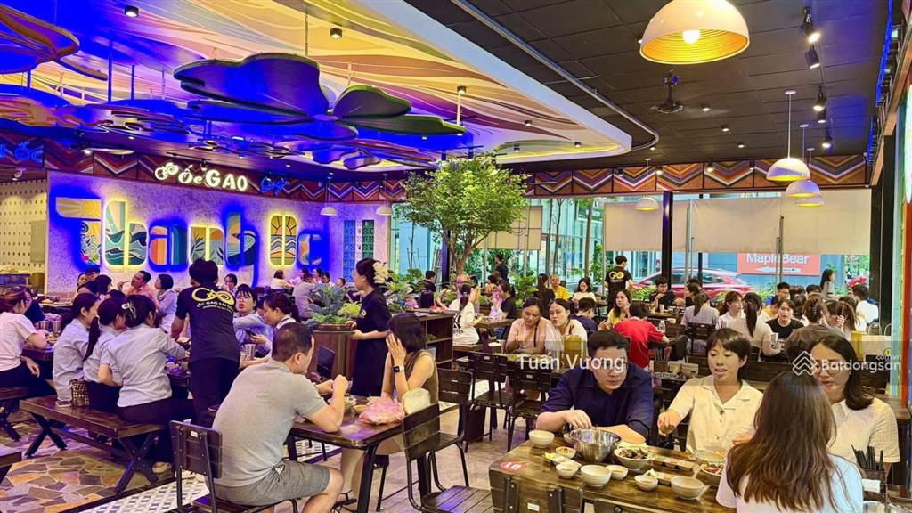 Hot! siêu phẩm lô góc trần thái tông! dt 250m2 x 2 tầng, không gian kinh doanh cực rộng