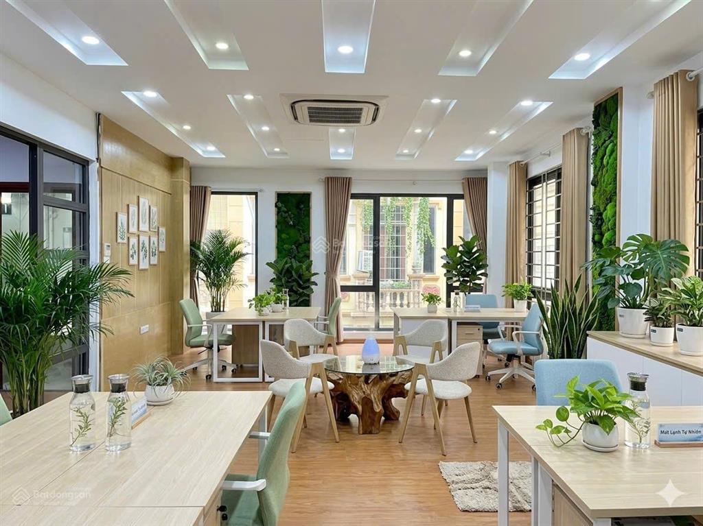 Cho thuê văn phòng tại quận đống đa  hoàng cầu & yên lãng sàn 50m² nhà mới giá chỉ 10tr/th có tl