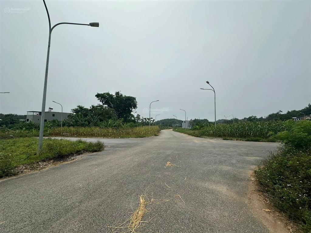 Bán đất đấu giá nhà nước tại an tường  tp tuyên quang diện tích 200m2 thổ cư giá 3.2 tỷ có tl