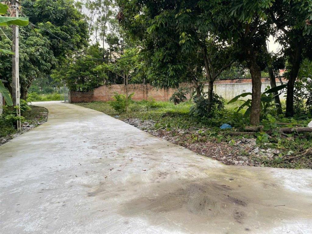 Bán đất rộng ngay gần nút giao cao tốc ic4, kim long, tam dương, phú thọ. dt ~ 1ha