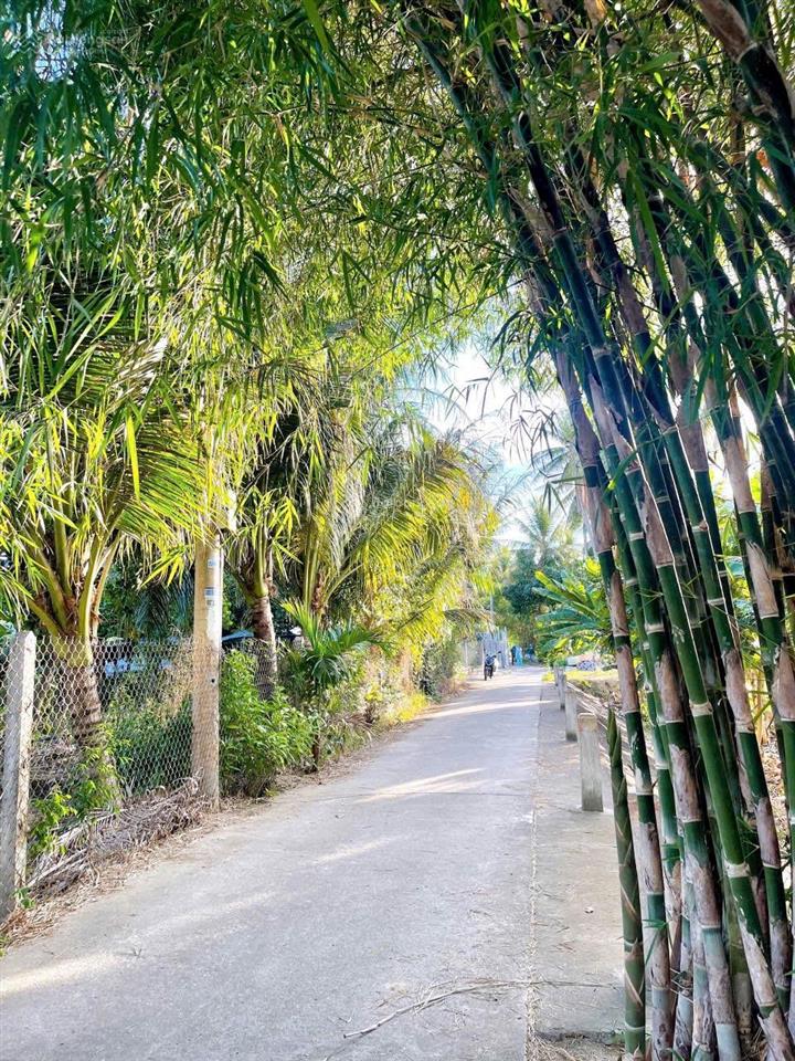 600m2 ngay cầu ké  vĩnh trung, tây nha trang gần trục võ nguyên giáp chỉ 9,7tr/m2