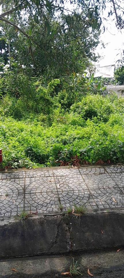 ko cần đăng tin giùm, cần bán gấp