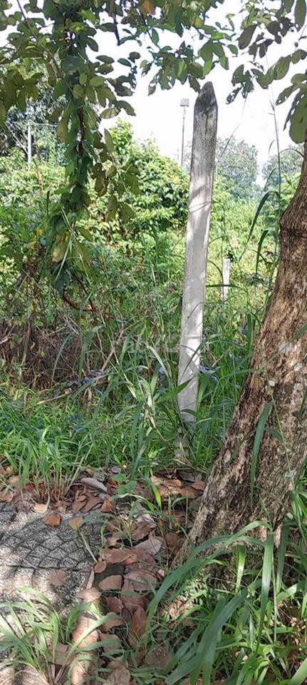 ko cần đăng tin giùm, cần bán gấp