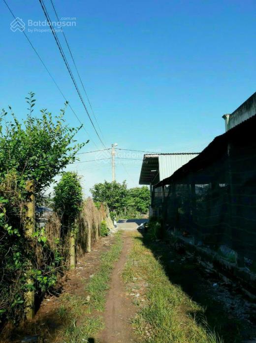 Nhà cấp 4 kiên cố 123.1m² (25m thổ cư) tại thái mỹ, gần chợ 500m giá chỉ 1,15 tỷ, vào ở ngay!