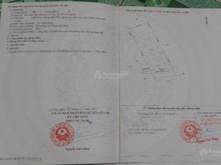 Chủ gửi bán gấp 3.924m2 đất lúa xã thái mỹ  củ chi | giá chỉ 3,5 tỷ (tl) | sát đường ô tô