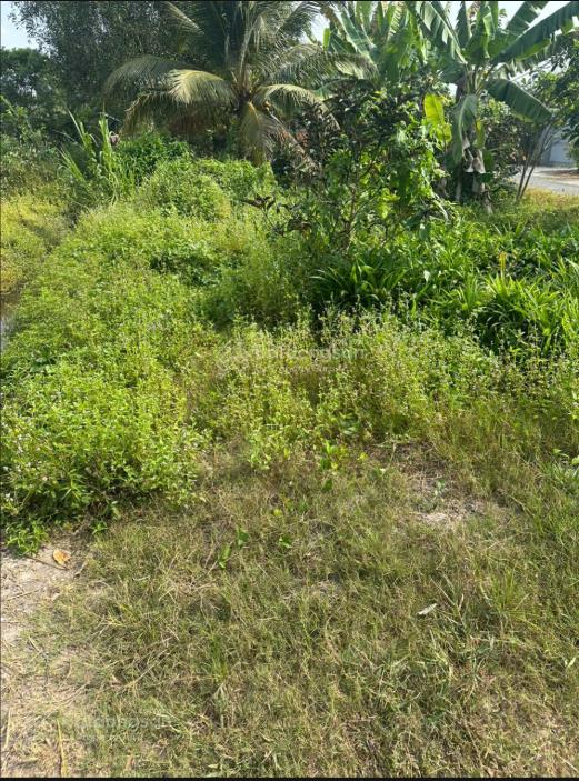 Bán đất thái mỹ củ chi  3700m² mặt tiền nhựa  1.5km đến trung tâm  giá 1tr/m²