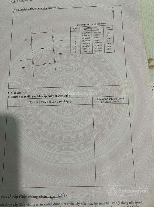 Bán đất thái mỹ củ chi  3700m² mặt tiền nhựa  1.5km đến trung tâm  giá 1tr/m²